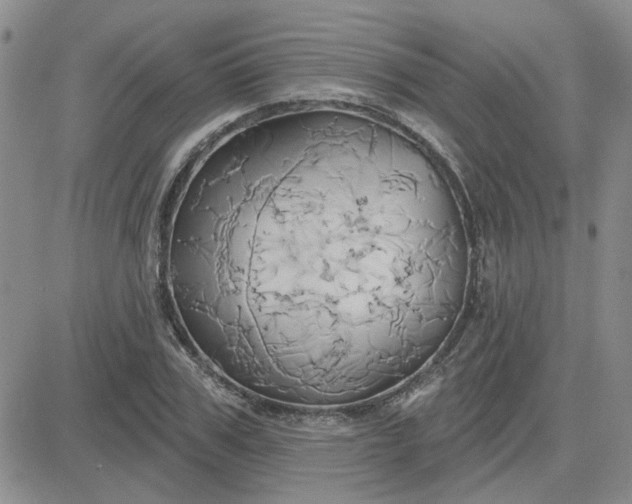 X0000081300979200701251714