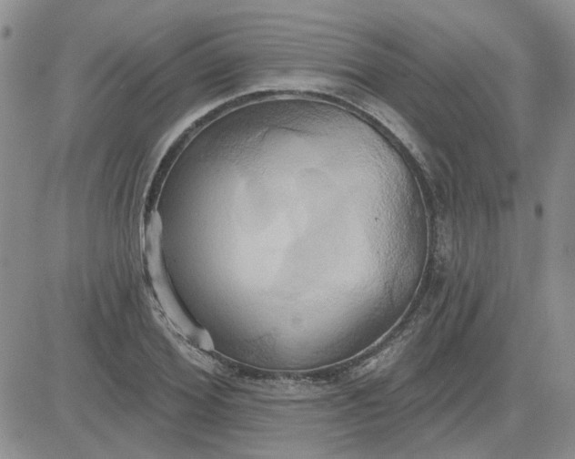 X0000081300980200701251714