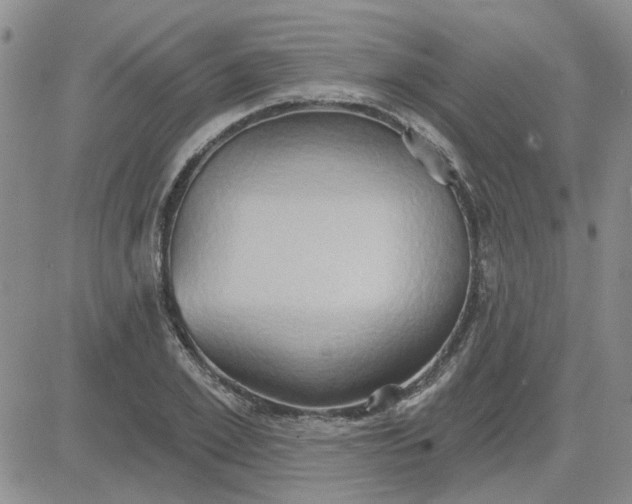 X0000081300981200701251714