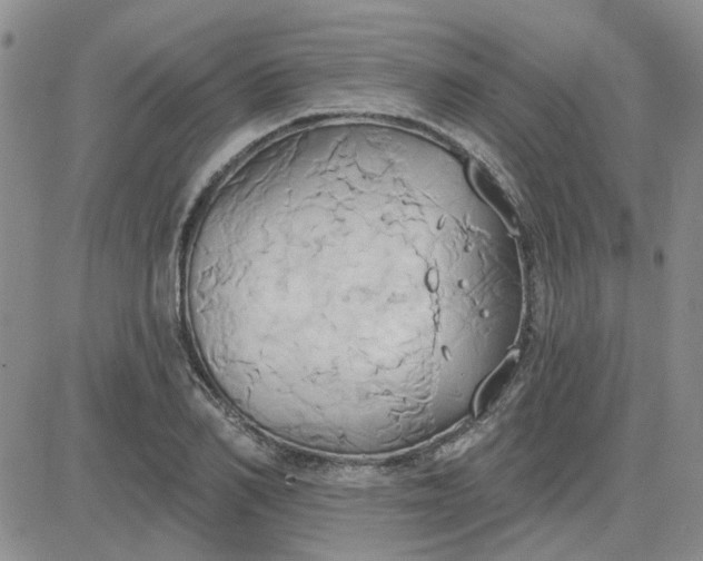 X0000081300982200701251714