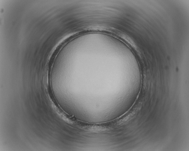 X0000081300984200701251713