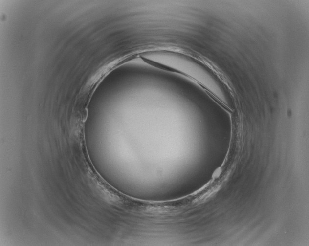 X0000081300985200701251713