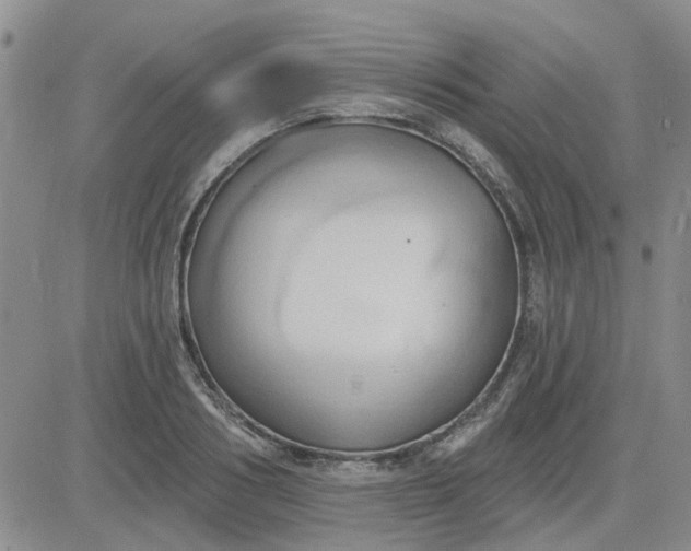 X0000081300986200701251713