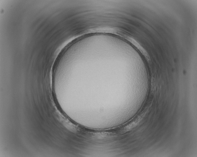 X0000081300988200701251713