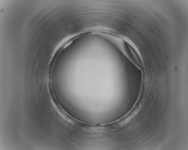 X0000081300989200701251713