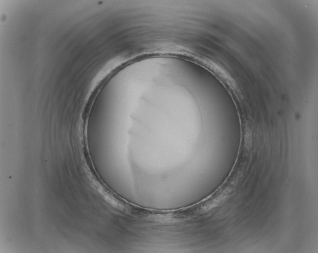 X0000081300990200701251713