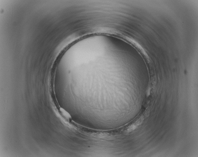 X0000081300991200701251713