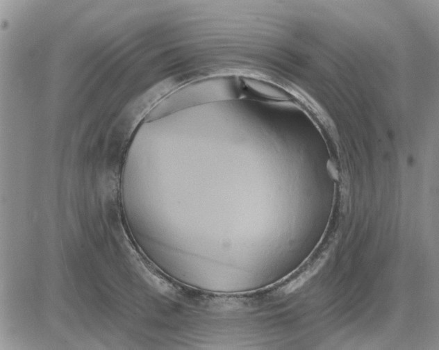 X0000081300993200701251713