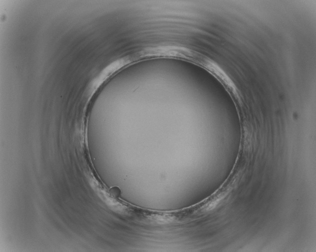 X0000081300994200701251713