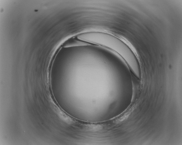 X0000081300996200701251713