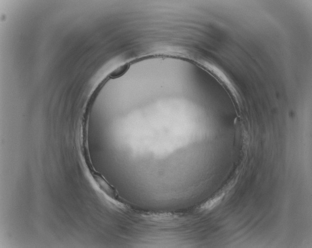 X0000081300999200701251713