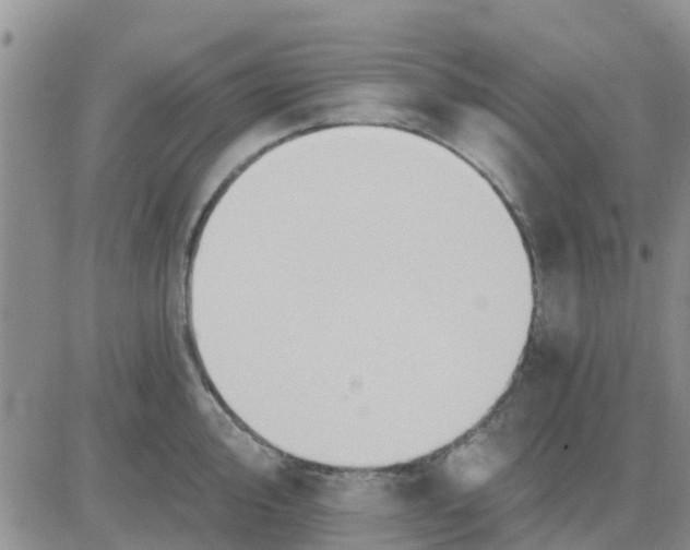 X0000081301000200701251713