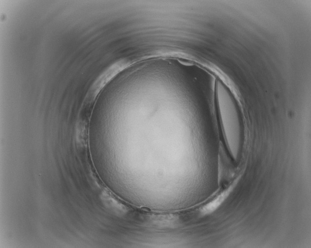 X0000081301001200701251713