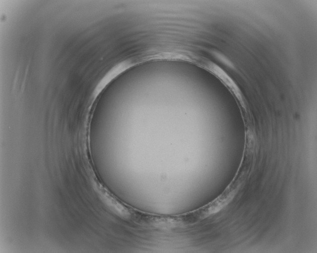 X0000081301002200701251713