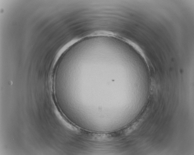 X0000081301003200701251713