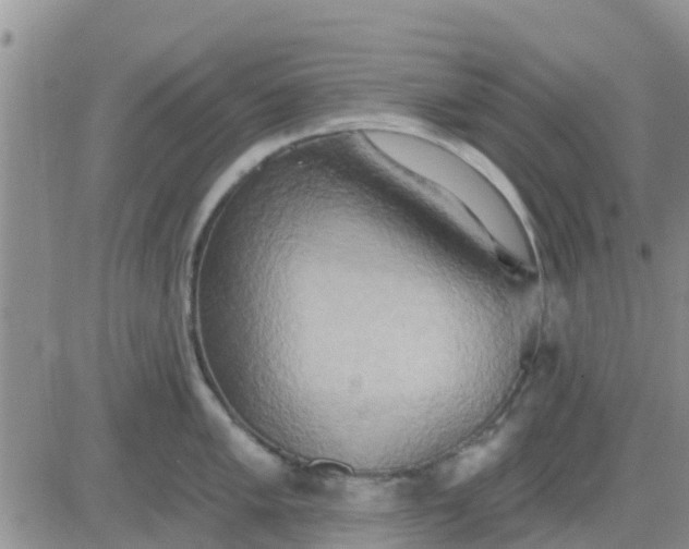 X0000081301005200701251713