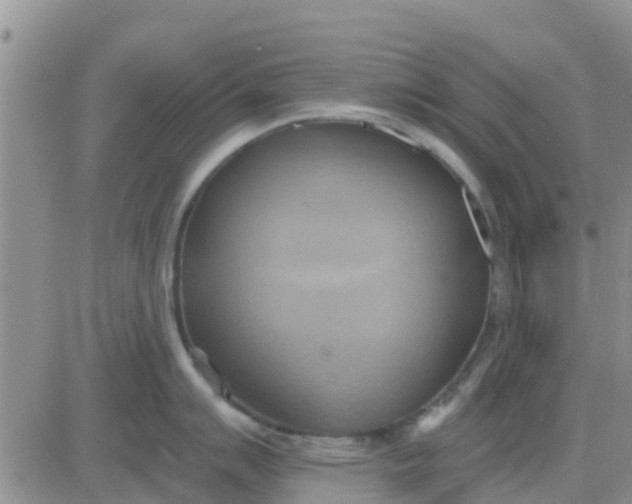 X0000081301007200701251713