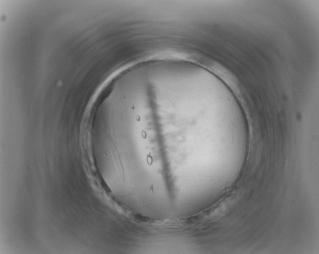 X0000081301008200701251713