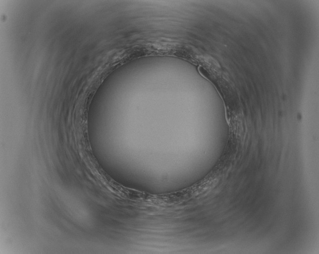 X0000081301009200701251712