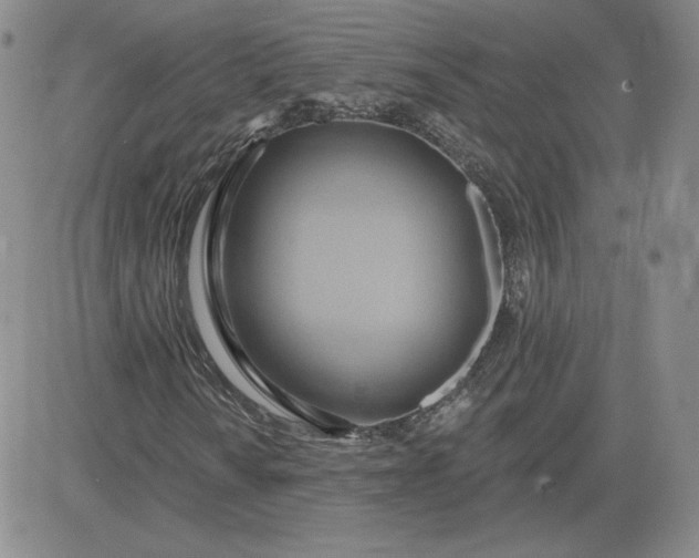 X0000081301010200701251712