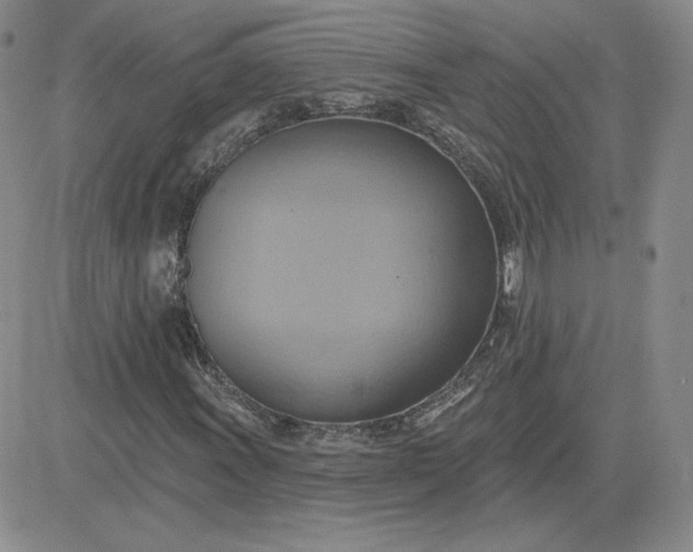 X0000081301011200701251712