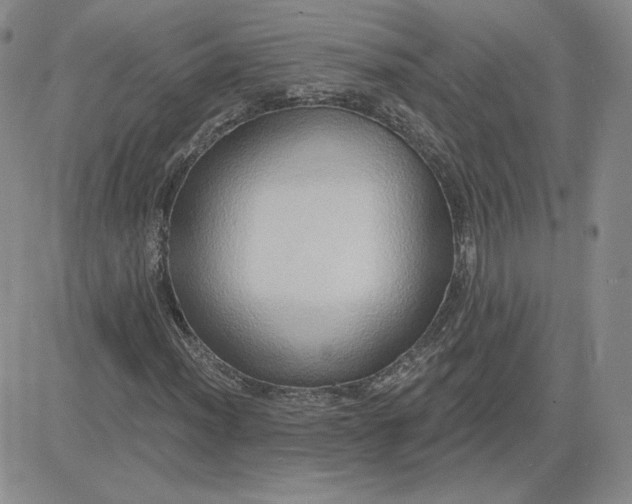 X0000081301012200701251712