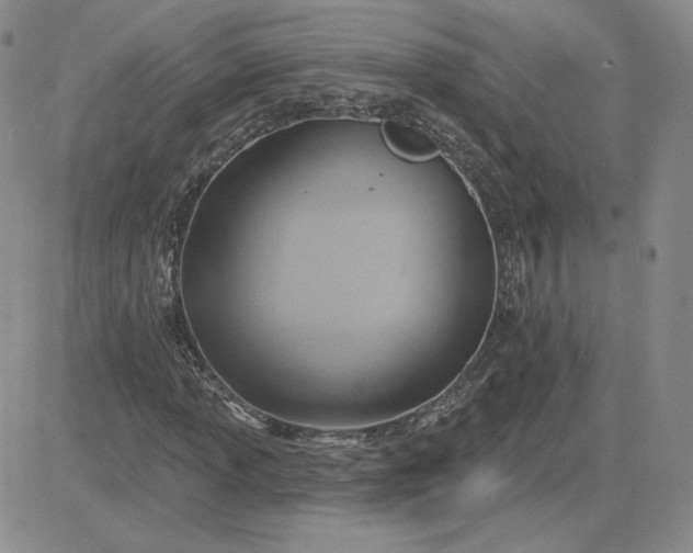 X0000081301013200701251712