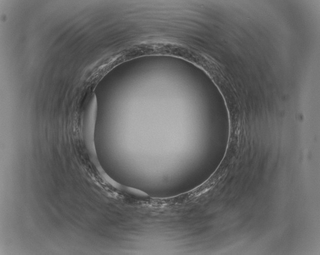 X0000081301014200701251712