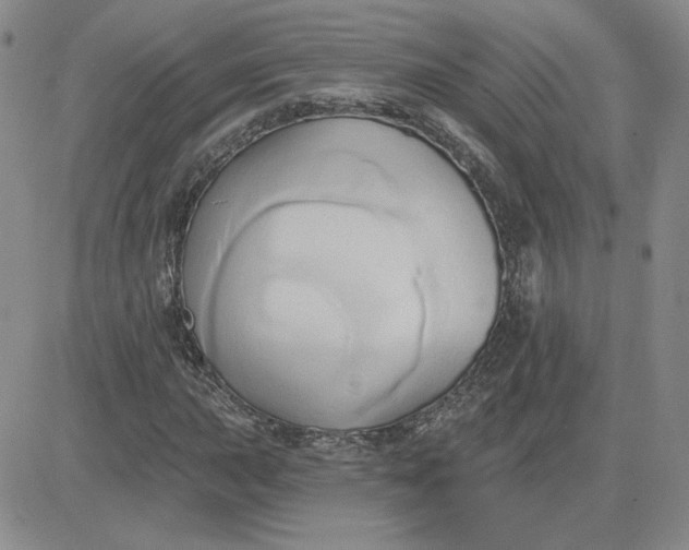 X0000081301015200701251712