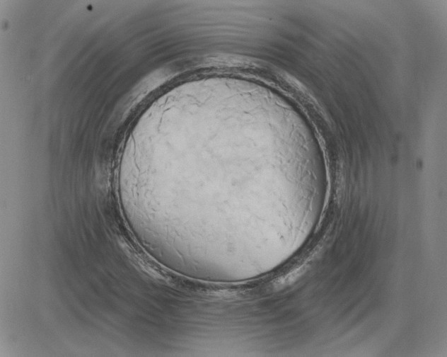 X0000081301017200701251712