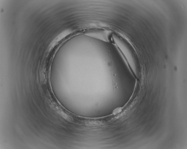 X0000081301018200701251712