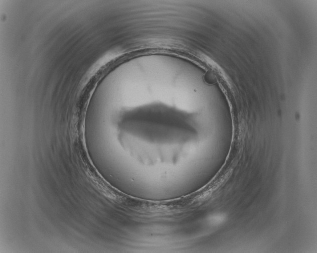 X0000081301019200701251712