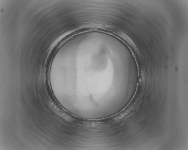 X0000081301020200701251712