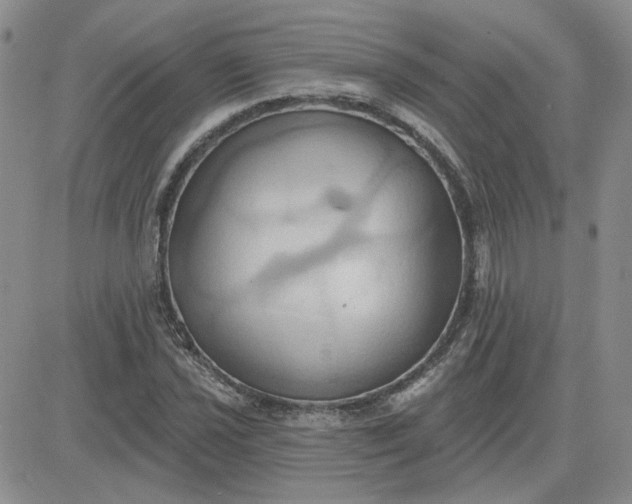 X0000081301021200701251712