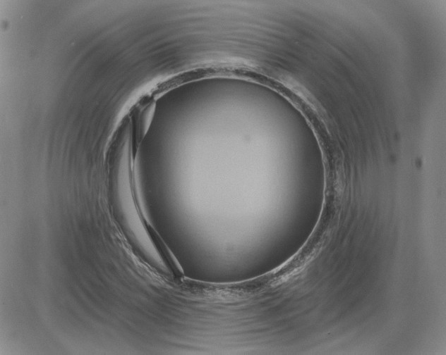 X0000081301022200701251713