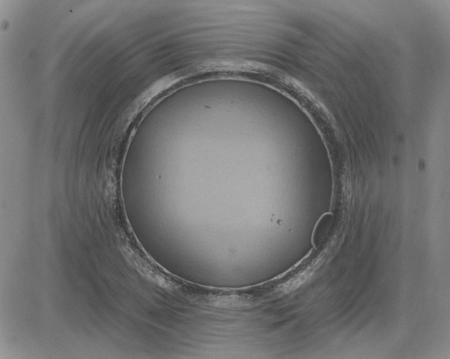 X0000081301025200701251713