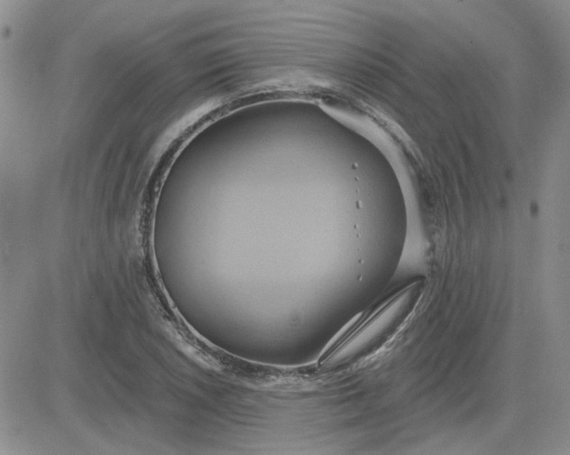 X0000081301026200701251713