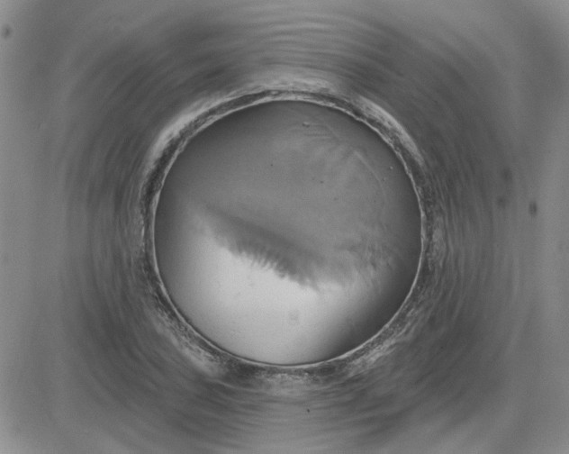 X0000081301027200701251713