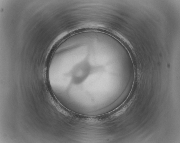 X0000081301029200701251713