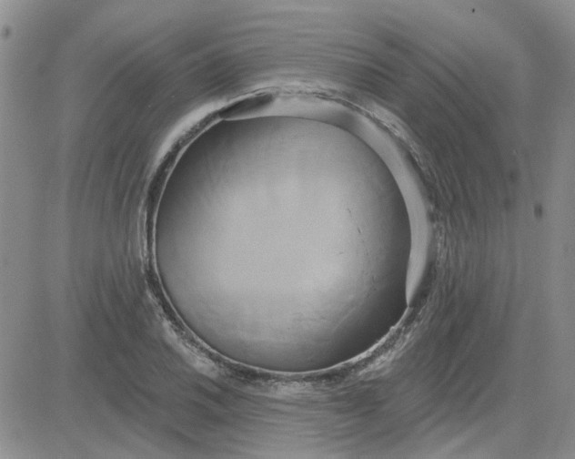 X0000081301030200701251713