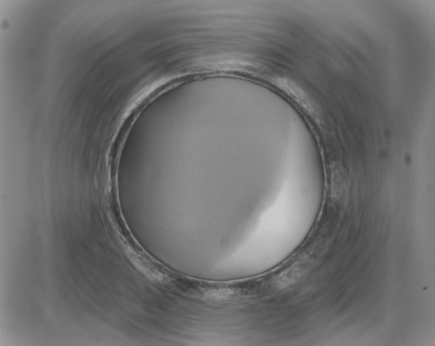 X0000081301031200701251713