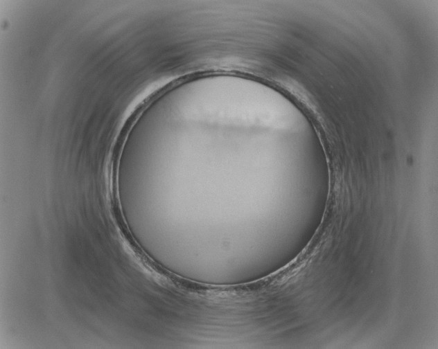 X0000081301032200701251713