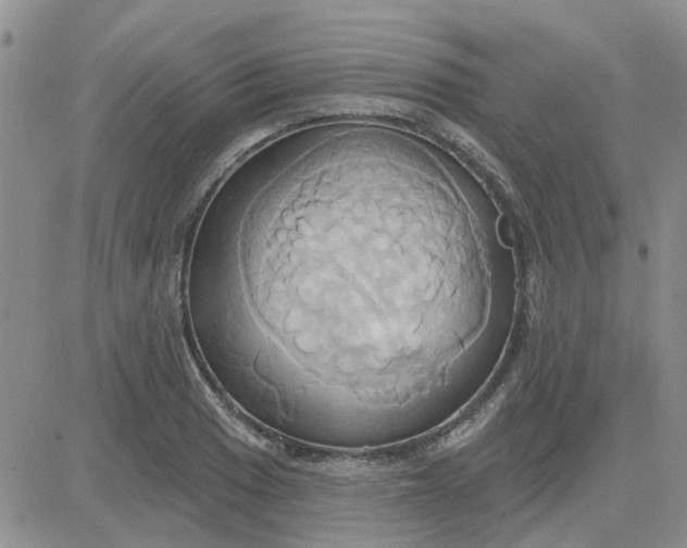 X0000081301033200701251713