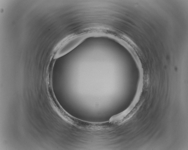 X0000081301034200701251713