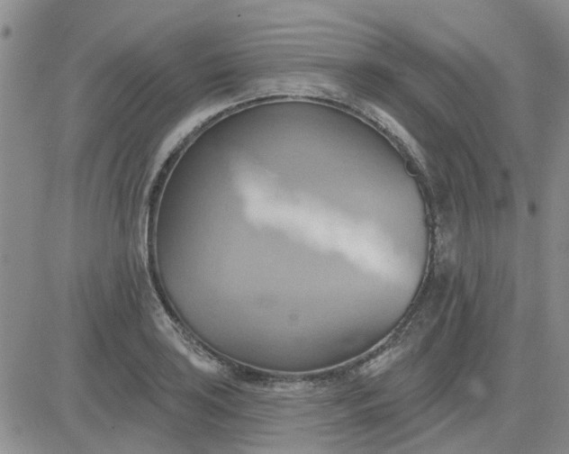 X0000081301035200701251713