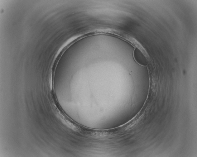 X0000081301036200701251713