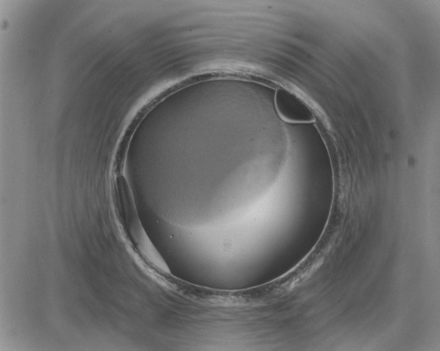 X0000081301037200701251713