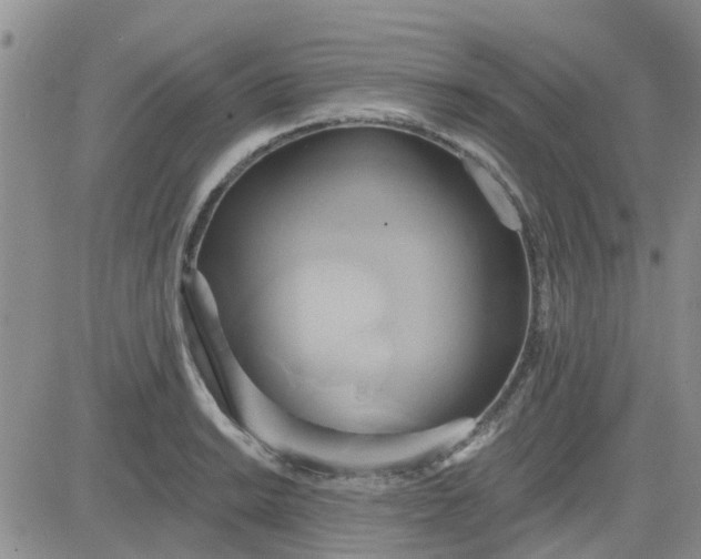 X0000081301038200701251713