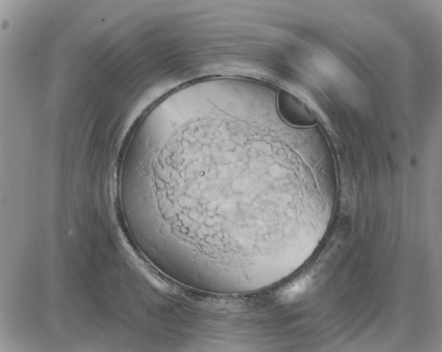 X0000081301040200701251713