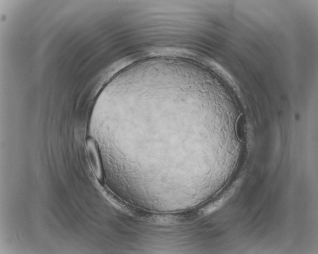 X0000081301041200701251713